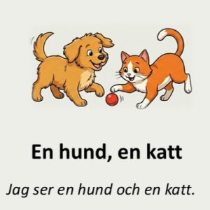 2.En hund en katt (1)